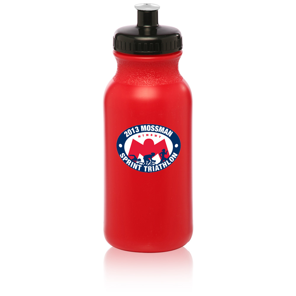 Winston - Insulated 20 oz Water Bottle with Straw Cap #RTS4916